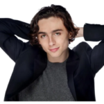 timothee chalamet net worth