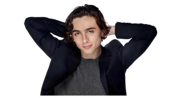 timothee chalamet net worth