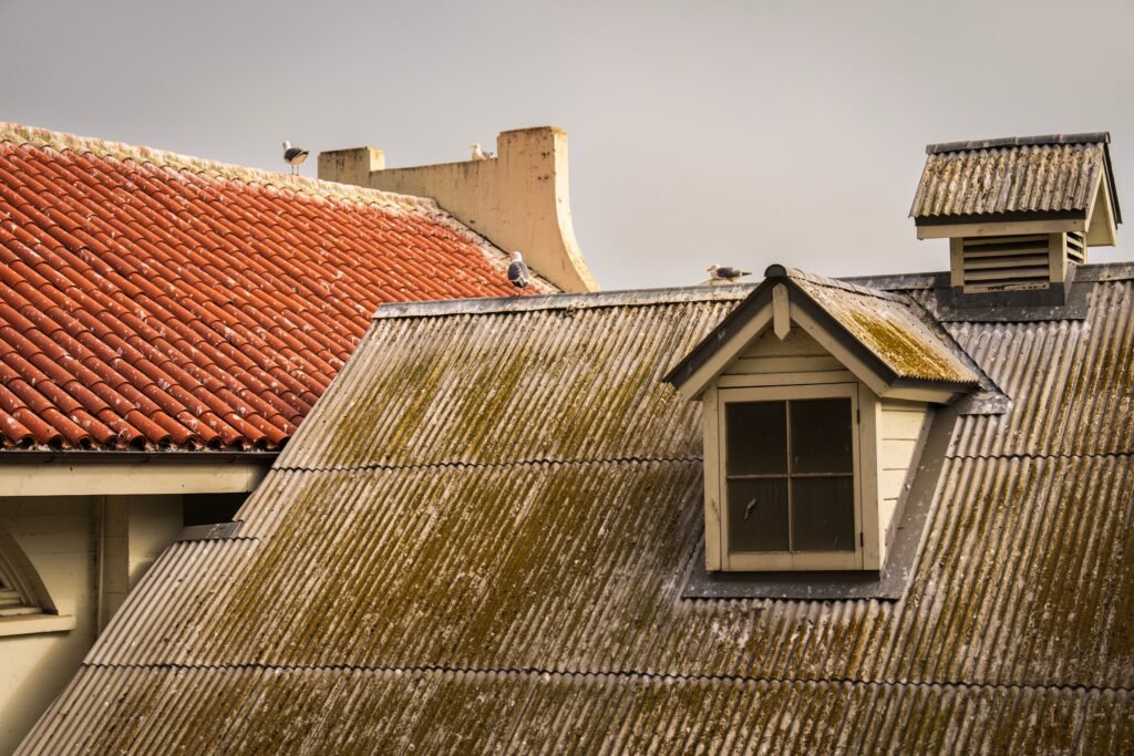 Simple Ways to Protect Your Roof Year-Round